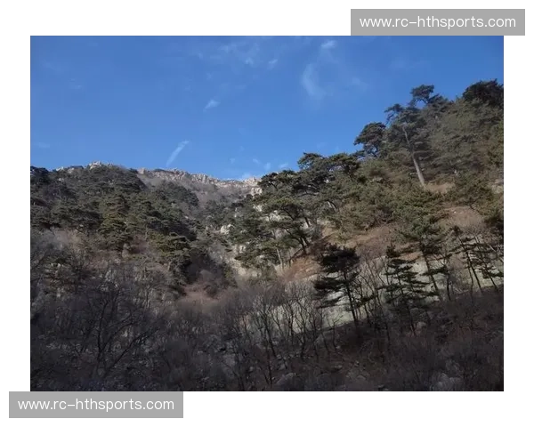 山东“泰山”遇上东莞“水濂洞”：一场跨越山海的篮球盛宴